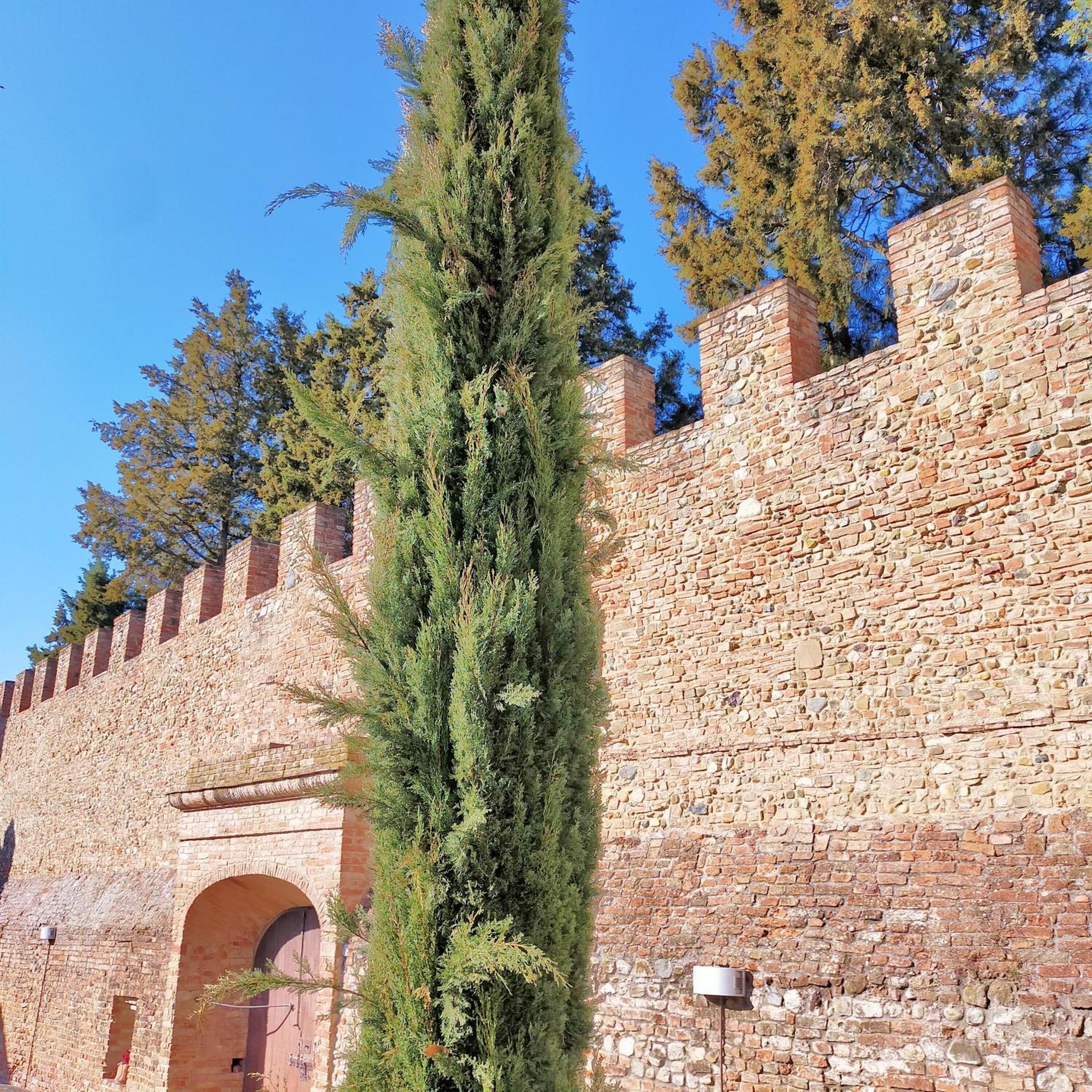 Palazzo Stiozzi Ridolfi Leilighet Certaldo Eksteriør bilde